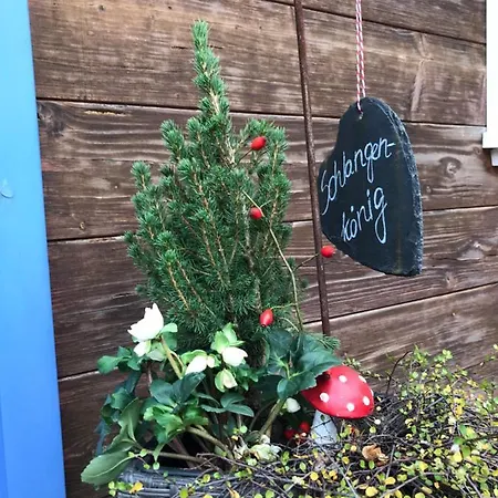 Daire Spreewaldinsel