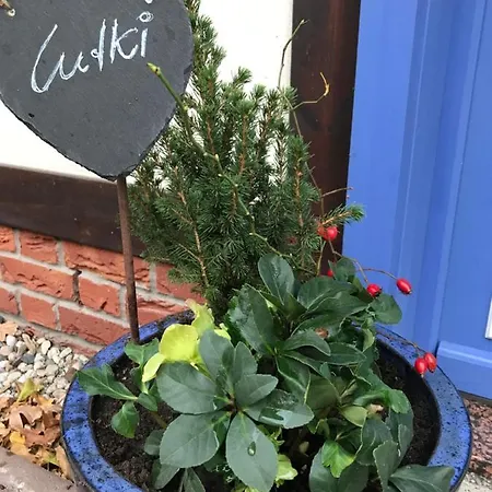 Daire Spreewaldinsel *