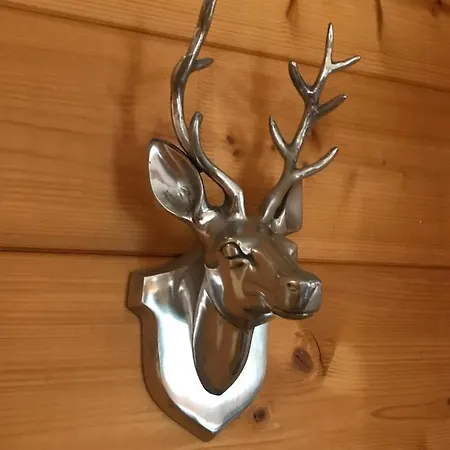 Spreewaldinsel Daire Leipe