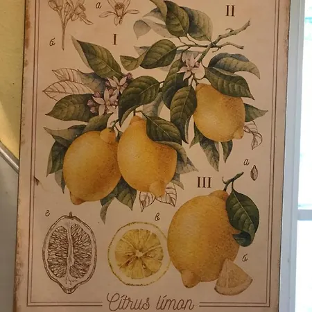 Spreewaldinsel Daire *