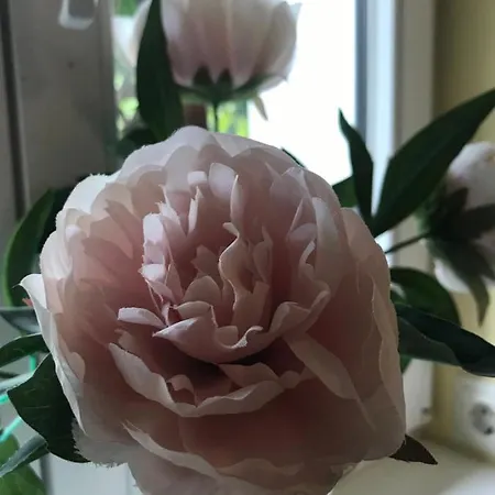 Spreewaldinsel Lejlighed Leipe