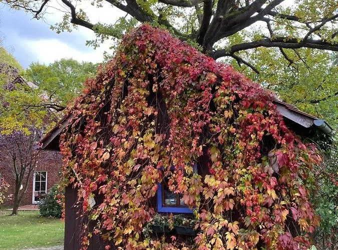 Spreewaldinsel Apartman