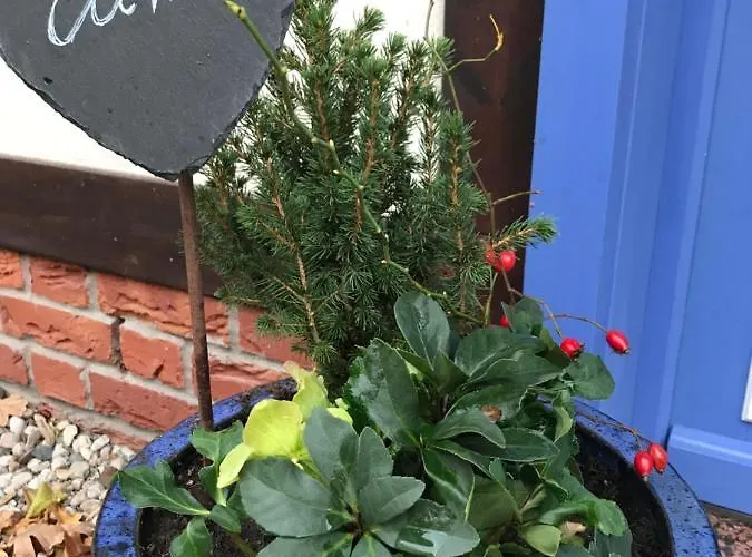 Apartman Spreewaldinsel *