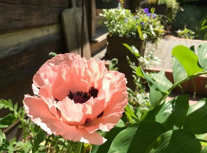 Apartman Spreewaldinsel