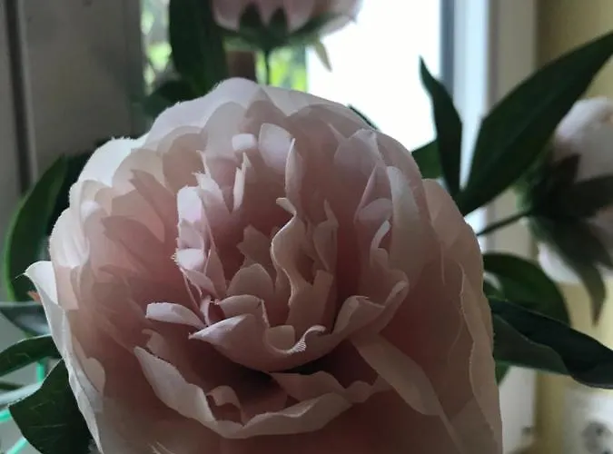 Spreewaldinsel شقة Leipe